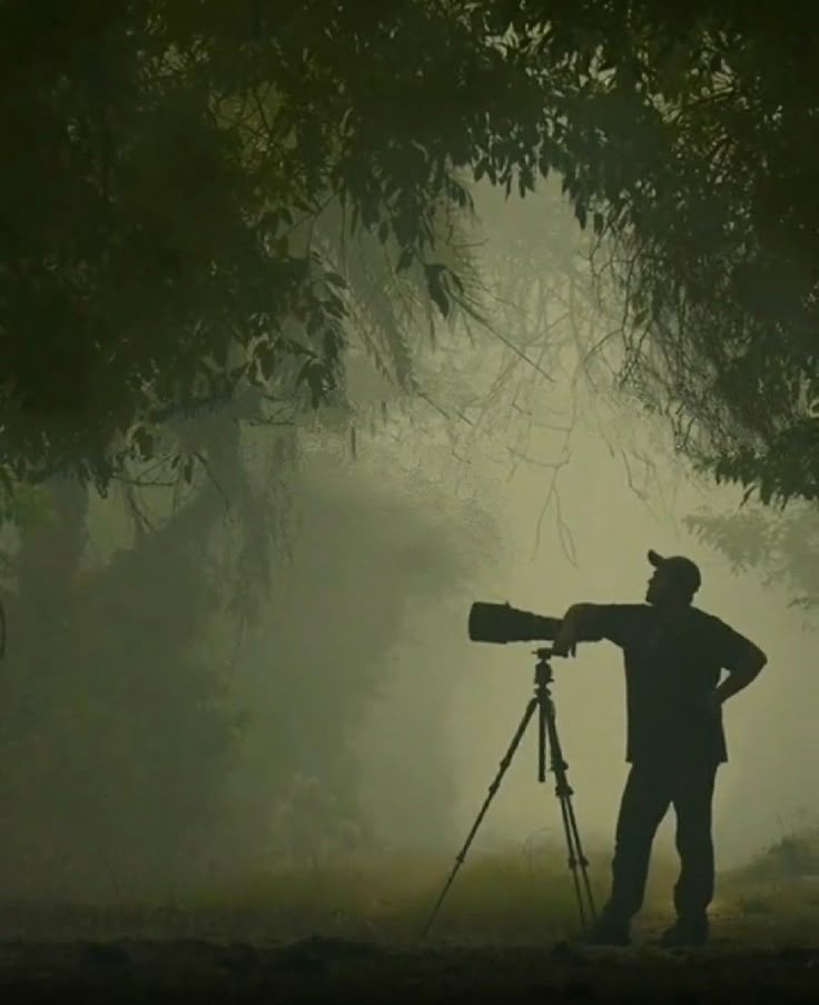 Film Shooting in Forest
